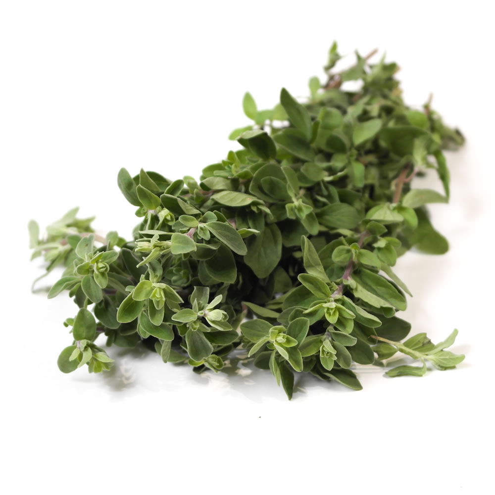 Marjoram Herbs Unlimited