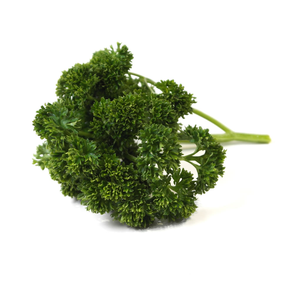 Parsley Curly Herbs Unlimited