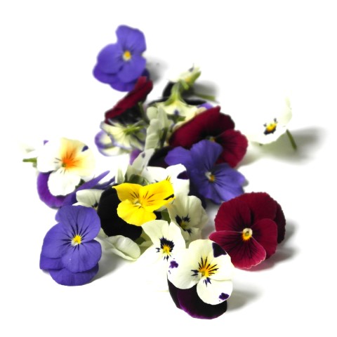 Fresh Edible Flowers